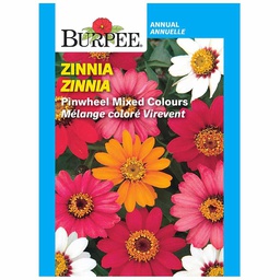 [10081432] BURPEE ZINNIA - PINWHEEL MIXED COLOURS