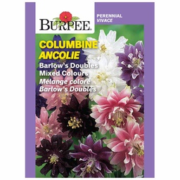 [10081438] BURPEE COLUMBINE - BARLOWS DOUBLES MIXED COLOURS