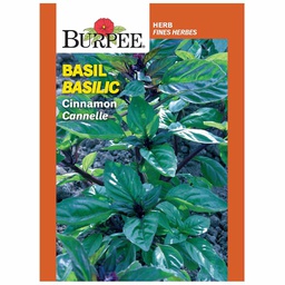 [10081444] BURPEE HERB BASIL - CINNAMON