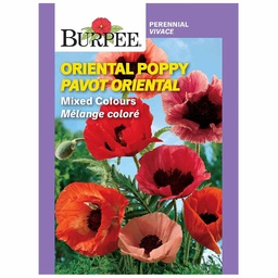 [10081454] BURPEE ORIENTAL POPPY - MIXED COLOURS