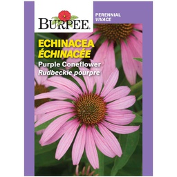 [10081458] BURPEE ECHINACEA