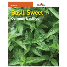 [10081460] BURPEE HERB BASIL - SWEET