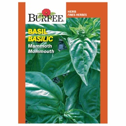 [10081462] BURPEE HERB BASIL - MAMMOTH