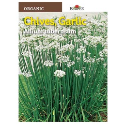 [10081466] BURPEE HERB CHIVES - GARLIC