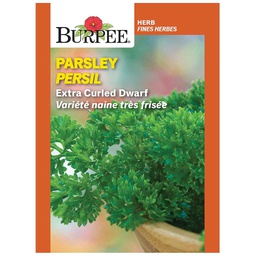 [10081478] BURPEE HERB PARSLEY - EXTRA CURLED DWARF