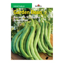 [10081490] BURPEE GARDEN BEAN - STRINGLESS GREEN POD