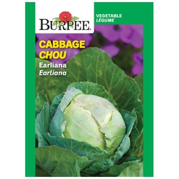 [10081500] BURPEE CABBAGE - EARLIANA 