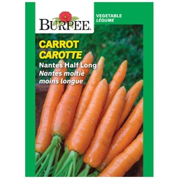 [10081504] BURPEE CARROT - NANTES HALF LONG