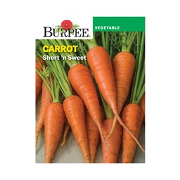 [10081506] BURPEE CARROT - SHORT N' SWEET 