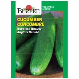 [10081510] BURPEE CUCUMBER - BURPLESS BEAUTY