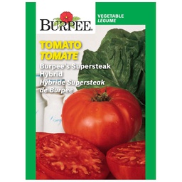 [10081550] BURPEE TOMATO - BURPEE'S SUPERSTEAK HYBRID