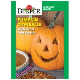 [10081558] BURPEE PUMPKIN - TRIPLE TREAT