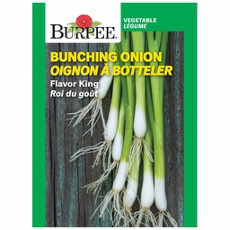 [10081566] BURPEE BUNCHING ORGANIC ONION