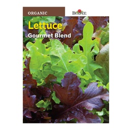 [10081588] BURPEE ORGANIC LETTUCE- GOURMET BLEND