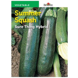 [10081612] BURPEE SUMMER SQUASH - SURE THING HYBRID