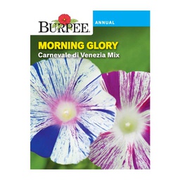 [10081614] BURPEE MORNING GLORY - CARNEVALE DI VENEZIA MIX