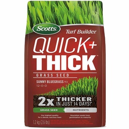 [10081922] SCOTTS TURF BUILDER QUICK + THICK SUNNY BLUEGRASS GRASS SEED MIX 1.2KG