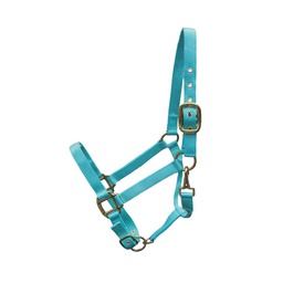 [10082882] GER-RYAN CANADIAN HORSEWEAR NYLON HALTER YEARLING AQUA