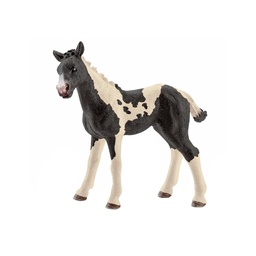 [10082928] DV - SCHLEICH FW PINTO FOAL