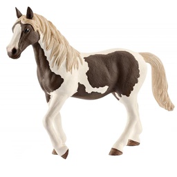 [10082932] DV - SCHLEICH FW PINTO MARE