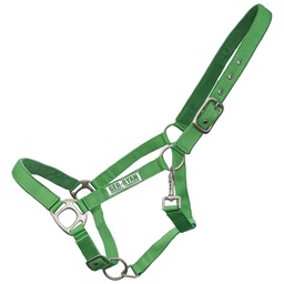 [10083492] GER-RYAN NYLON HALTER PADDED COB LIME