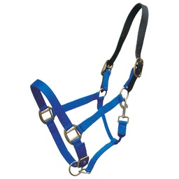 [10084624] GER-RYAN NYLON HALTER W/ LEATHER BREAKAWAY FULL ROYAL BLUE