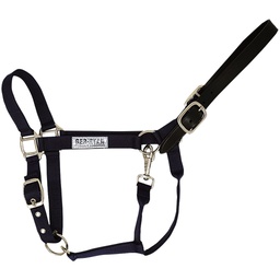 [10084692] GER-RYAN NYLON HALTER W/ LEATHER BREAKAWAY COB BLACK