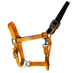 [10084696] GER-RYAN NYLON HALTER W/ LEATHER BREAKAWAY COB ORANGE