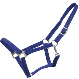 [10085452] GER-RYAN NYLON HALTER FULL ROYAL BLUE