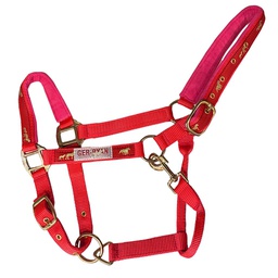 [10086088] GER-RYAN NYLON HALTER PADDED HORSE PRINT COB RED