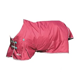 [10086400] DV - HIGHLANDER PLUS 300GM TURNOUT RASPBERRY 78&quot;