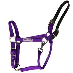 [10087618] GER-RYAN NYLON HALTER W/ LEATHER BREAKAWAY PONY PURPLE