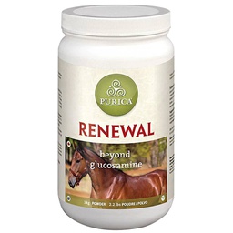 [10007106] DV - PURICA RENEWAL GLUCOSAMINE W/ MSM 1KG